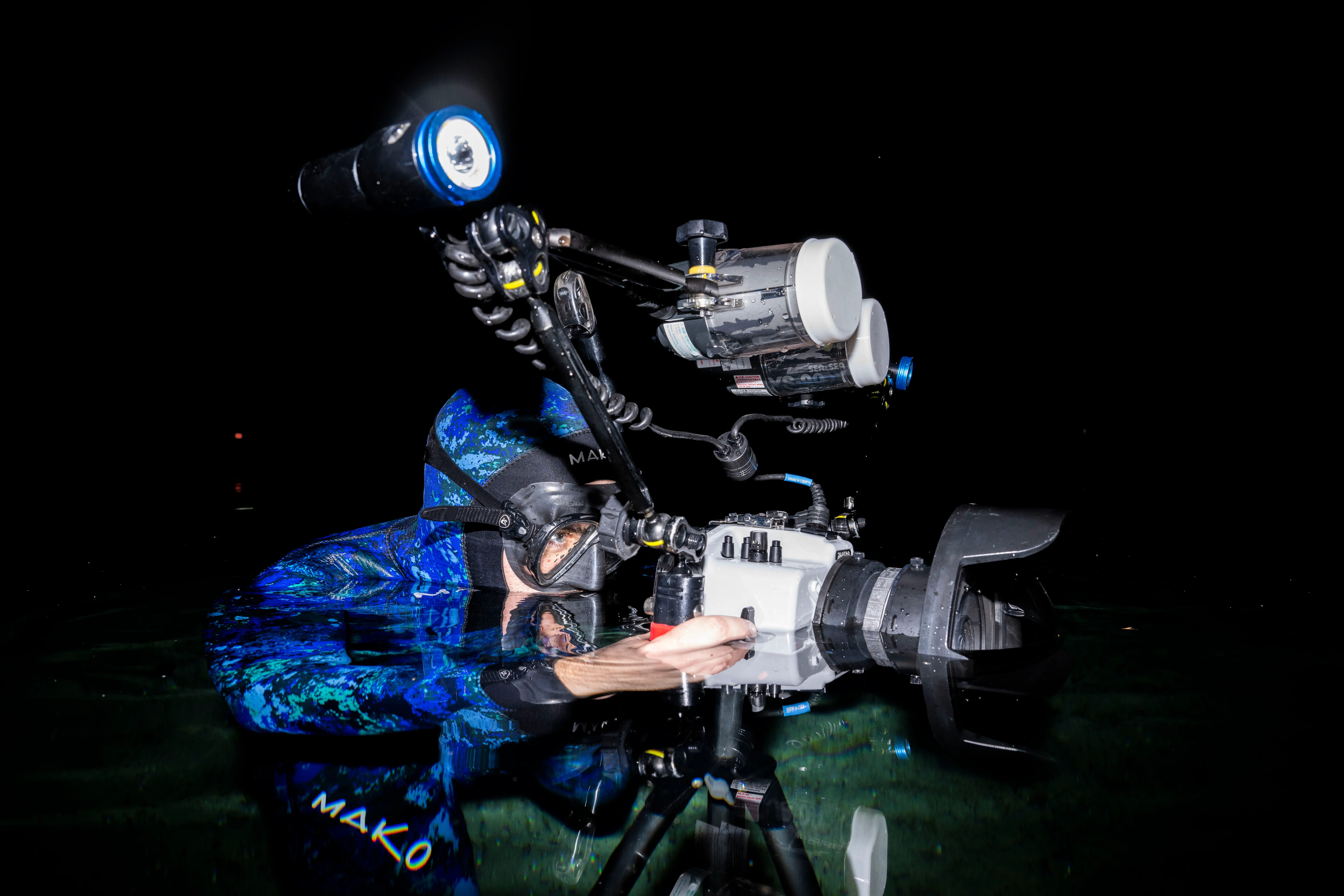 What lies beneath: filming gators in Florida springs